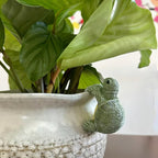 Turtle Pot Buddy Shell-Climber Plant Ornament