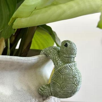 Turtle Pot Buddy Shell-Climber Plant Ornament