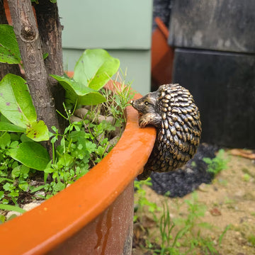Bronze-Effect Hedgehog Plant Pot Hugger Whimsical Garden Ornament & Indoor Decor