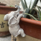 Dkor Ltd grey resin elephant pot hugger figurine with detailed texture, perched on a terracotta pot rim.