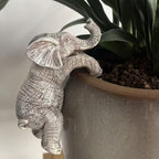 Dkor Ltd distressed white elephant pot hugger figurine with detailed texture, perched on a grey pot rim.