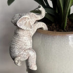 Dkor Ltd white elephant pot hugger figurine with detailed texture, climbing on a pot rim.