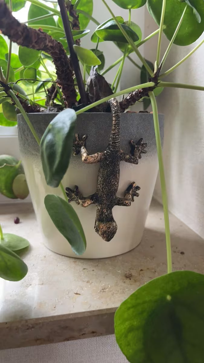Realistic lizard planter decoration for indoor and outdoor plants