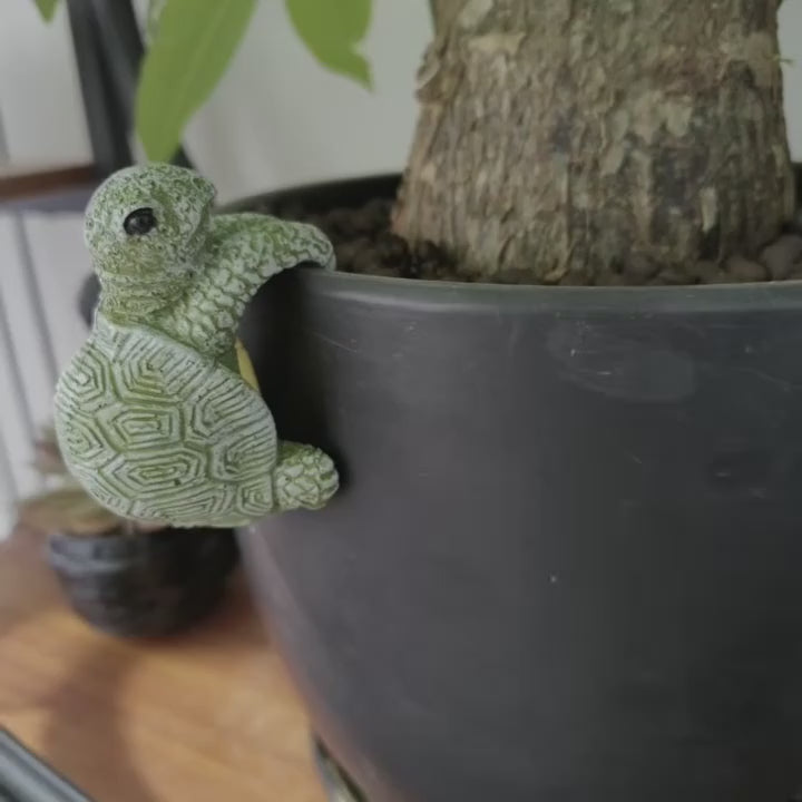 Turtle Pot Buddy Shell-Climber Plant Ornament