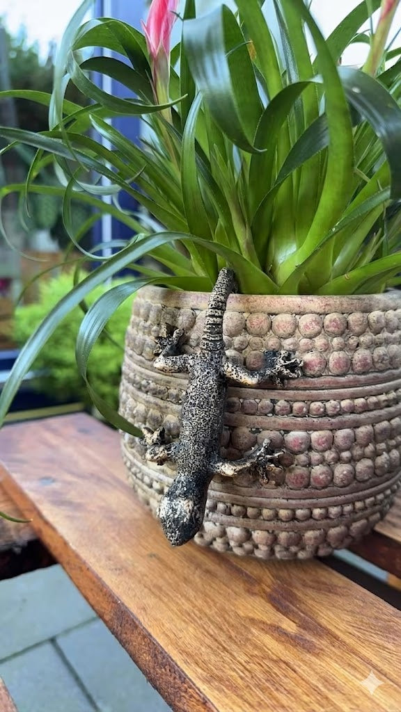 Decorative gecko plant pot ornament attached to indoor planter